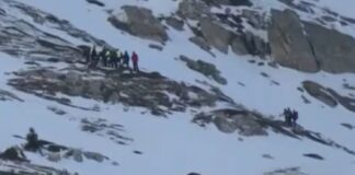 oreivates taigetos 1200x630.jpg