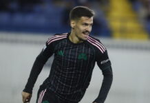 padovic 1200x630.jpg