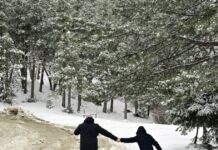 Καιρός: Ξεκινάει η ψυχρή εισβολή που θα φτάσει ακόμα και τους -10 βαθμούς – Χιόνια μέχρι το κύμα στην Πελοπόννησο και σε νησιά pagonia xionia e 1200x630.jpg