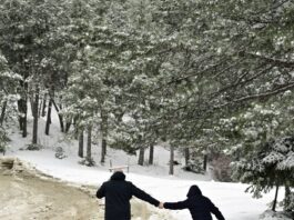 pagonia xionia e 1200x630.jpg