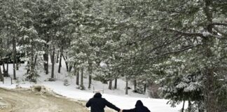 pagonia xionia e 1200x630.jpg