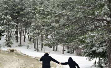 pagonia xionia e 1200x630.jpg