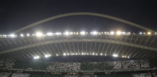 pao oaka 1200x630.jpg