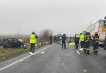 paok fans 1200x630.jpg