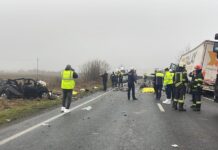 Δυστύχημα με οπαδούς του ΠΑΟΚ: 60-70 νεκροί τον χρόνο και 320 ατυχήματα στον «δρόμο του θανάτoυ» στη Ρουμανία paok fans 1200x675 1 1200x630.jpg