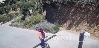 patinia 1200x630.jpg