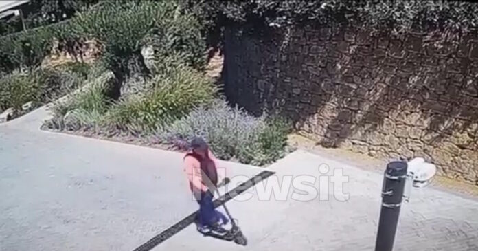 patinia 1200x630.jpg