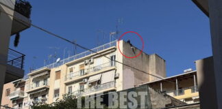 patra 1 1200x630.jpg