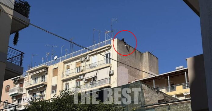 patra 1 1200x630.jpg patra 1 1200x630.jpg