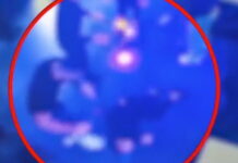 patra club nekros 1200x630.jpg