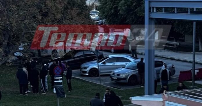 patra dolofonia 1 1200x630.jpg