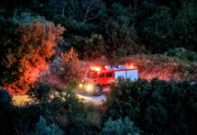 pirosvestiki 1200x630.jpg