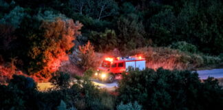 pirosvestiki 1200x630.jpg