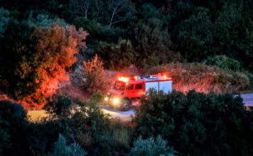 pirosvestiki 1200x630.jpg