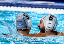 poloandron 1200x630.jpg