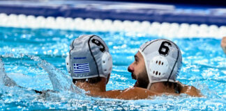 poloandron 1200x630.jpg