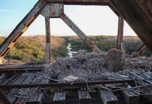 rages trenou eurok 1200x630.jpg