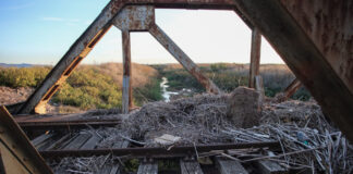 rages trenou eurok 1200x630.jpg