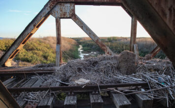 rages trenou eurok 1200x630.jpg