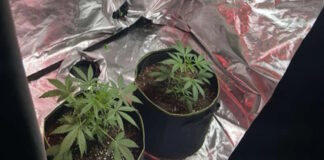 rodos narkotika1 14012026 1200x630.jpg