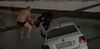 rosia diasosh 1200x630.jpg