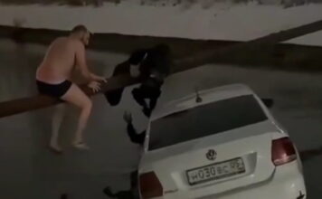 rosia diasosh 1200x630.jpg