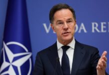 rutte 1200x630.jpg
