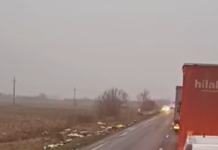 Συγκινούν τα λόγια Έλληνα οδηγού νταλίκας την ώρα που περνάει από το σημείο του δυστυχήματος των οπαδών του ΠΑΟΚ screenshot 2026 01 27 224020 1200x630.png