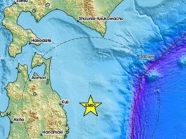 seixmos 1200x630.jpg