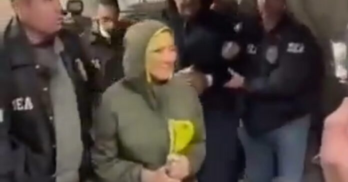 silia flores 1200x630.jpg