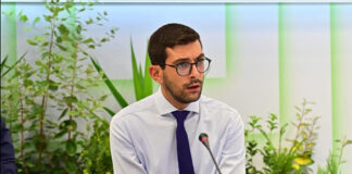 sinanis 1200x630.jpg