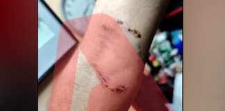 skulos omonoia 1200x630.jpg