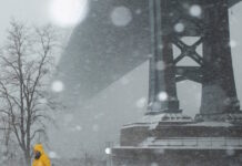 storm usa 1200x630.jpg