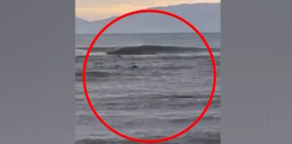 strymonas 09012026 1200x630.jpg