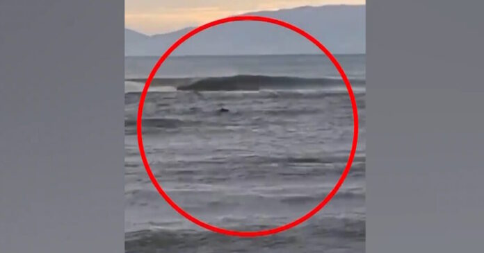 strymonas 09012026 1200x630.jpg