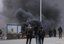 suria r 1200x630.jpg