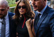 teddy bear brown 1024x731.jpg