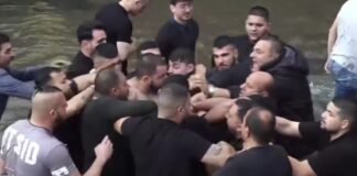 theofaneia flwrina 1200x630.jpg