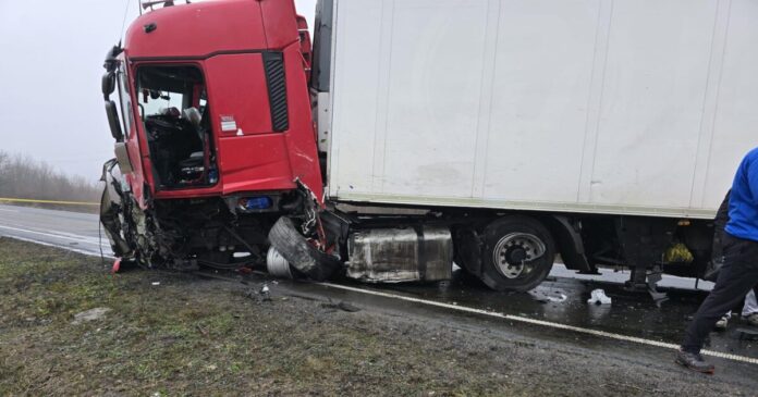 troxaio paok4 1200x630.jpg