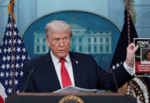 trump 11 1200x630.jpg