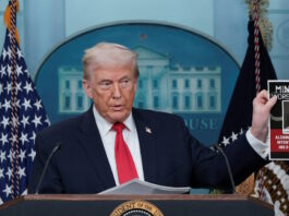 trump 11 1200x630.jpg