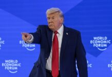 trump 13 1200x630.jpg