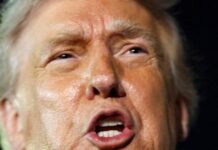 trump 2 1 1200x630.jpg