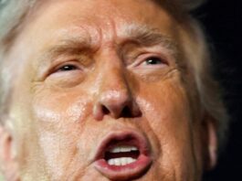 trump 2 1 1200x630.jpg