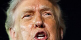 trump 2 1 1200x630.jpg