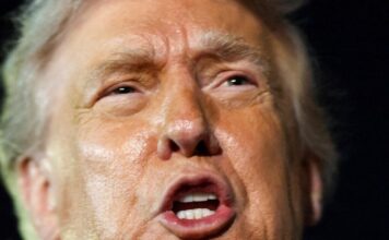 trump 2 1 1200x630.jpg