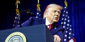 trump 3 1200x630.jpg