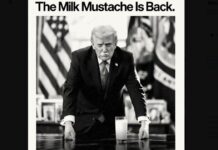 trump 4 1200x630.jpg