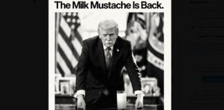 trump 4 1200x630.jpg