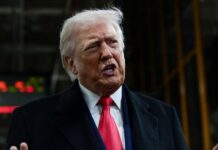 trump 5 1200x630.jpg